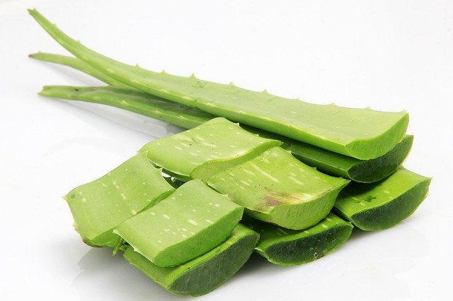 Aloe Vera to Control Hair Loss