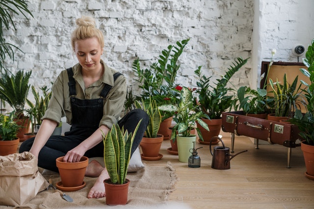 Gardening to overcome boredom