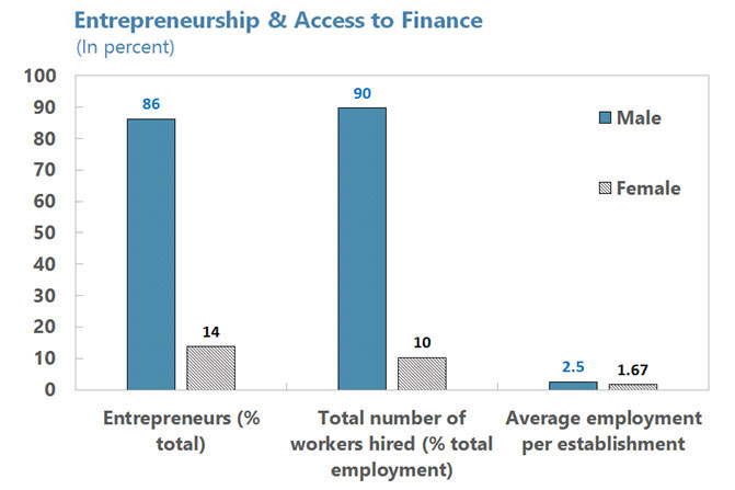 problems faced by women entrepreneurs