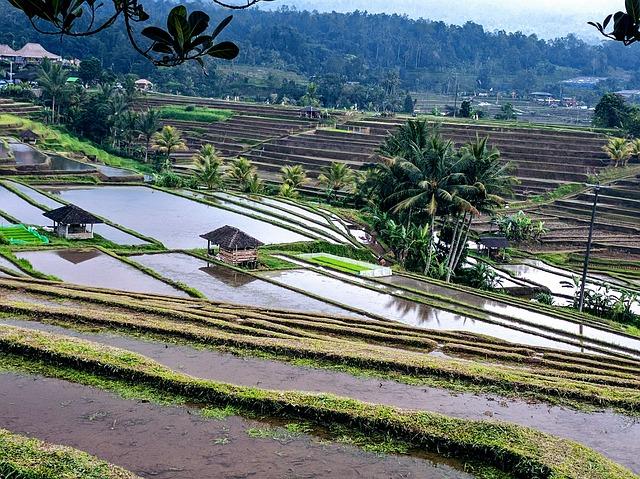 attractions of Bali